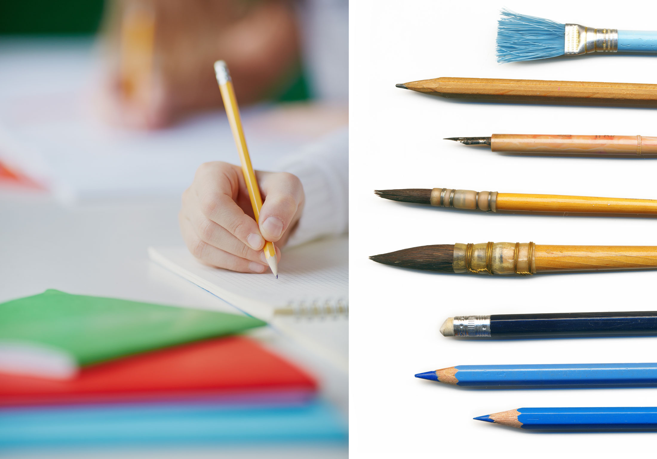 Diversity art essay contest